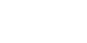 logo ipsum1