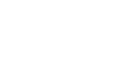 logo ipsum2