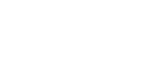 logo ipsum3